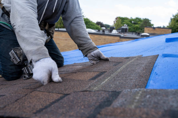 Best New Roof Installation  in Ninnekah, OK